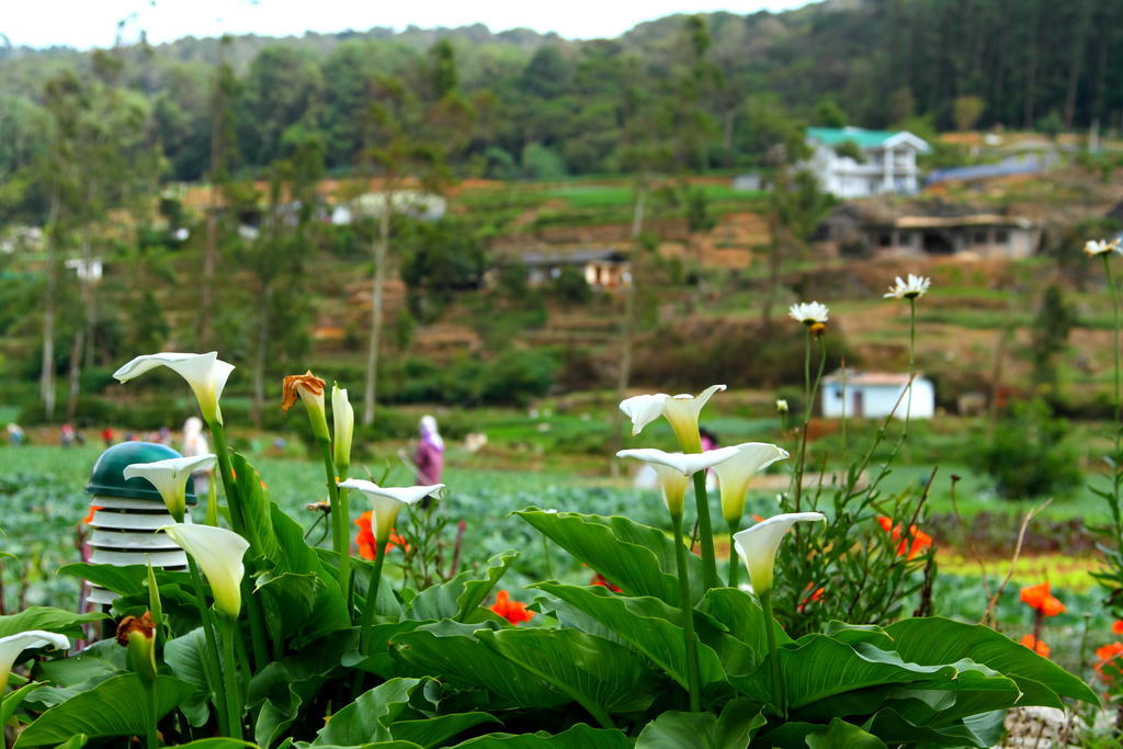Hotel Ashford Nuwara Eliya Exterior photo